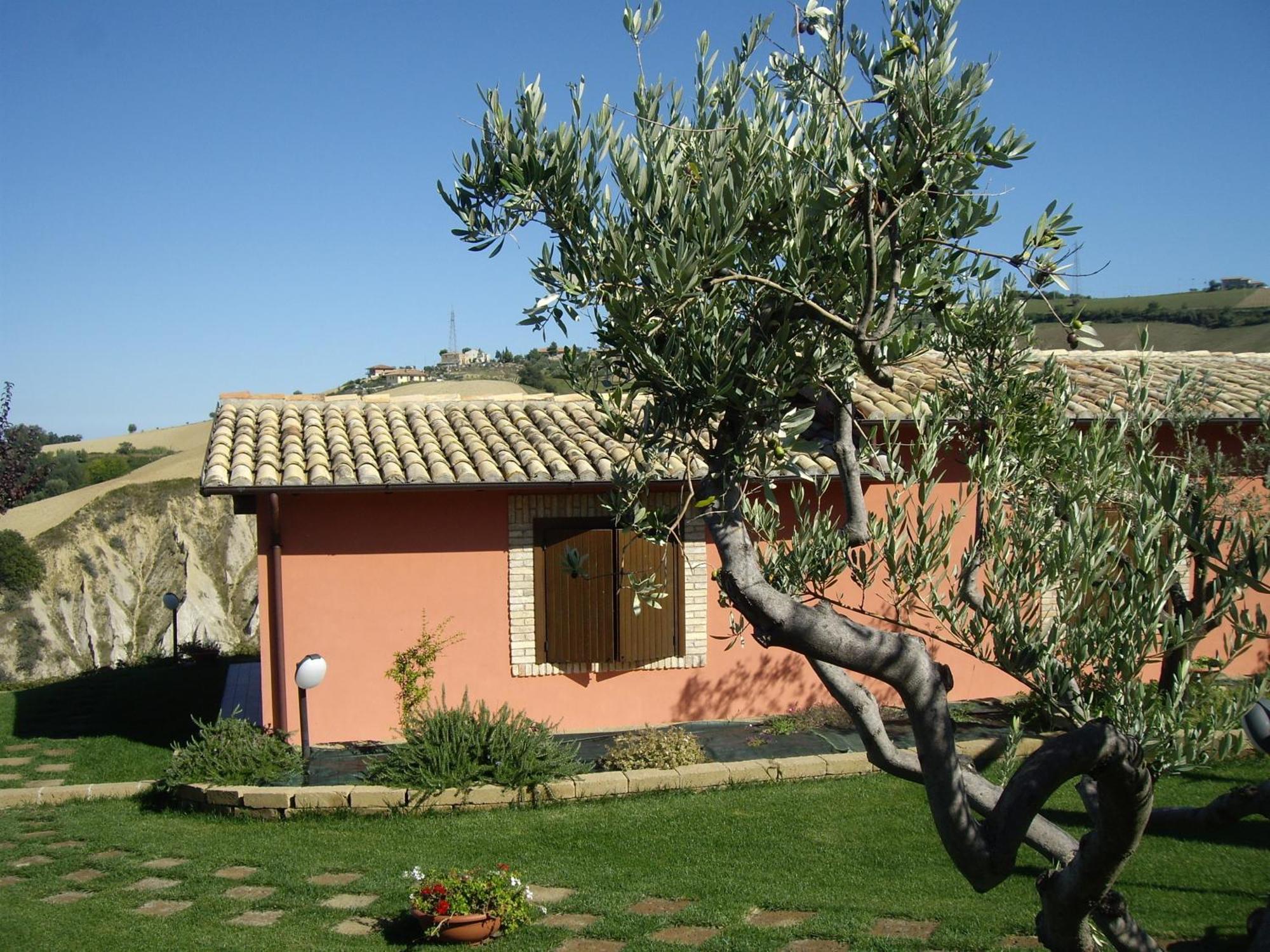 Agriturismo Il Borgo Degli Ulivi โรเซโต เดญา อาบรูซซี ภายนอก รูปภาพ