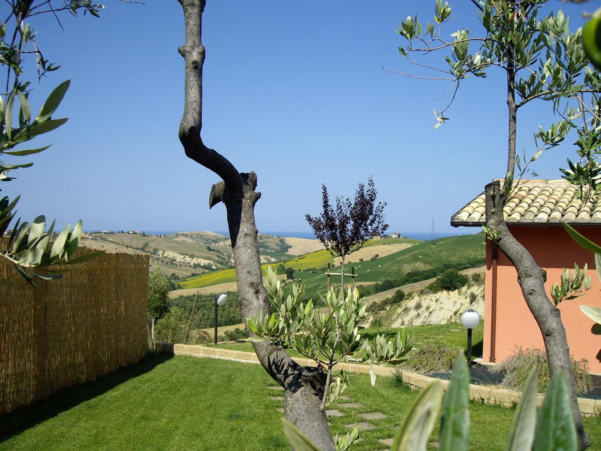 Agriturismo Il Borgo Degli Ulivi โรเซโต เดญา อาบรูซซี ภายนอก รูปภาพ