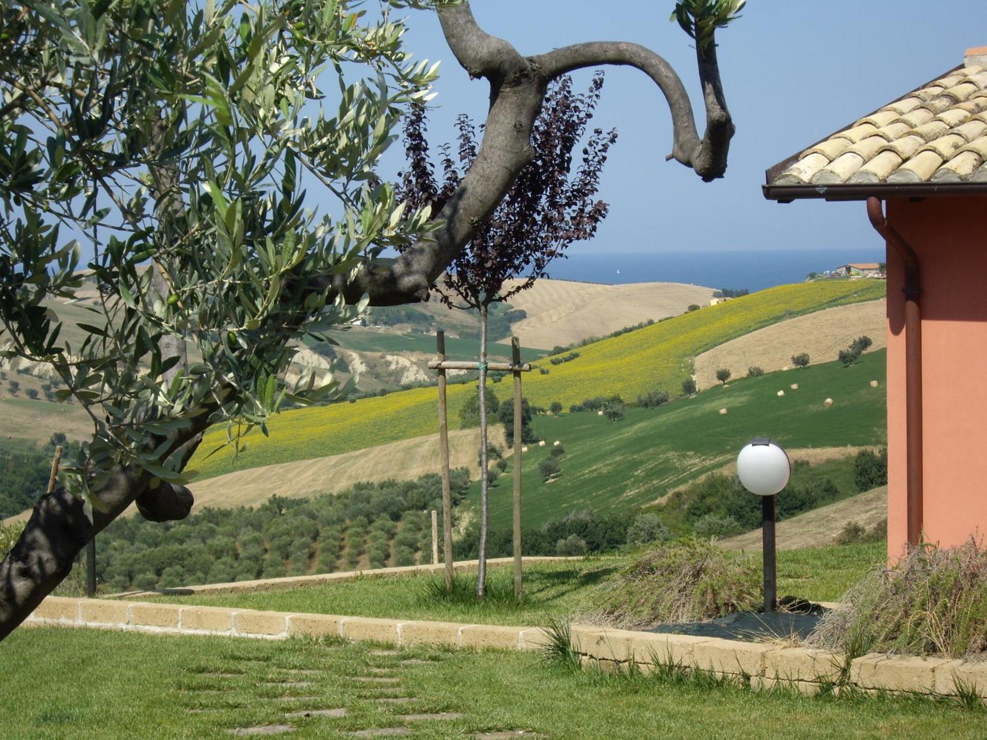 Agriturismo Il Borgo Degli Ulivi โรเซโต เดญา อาบรูซซี ภายนอก รูปภาพ